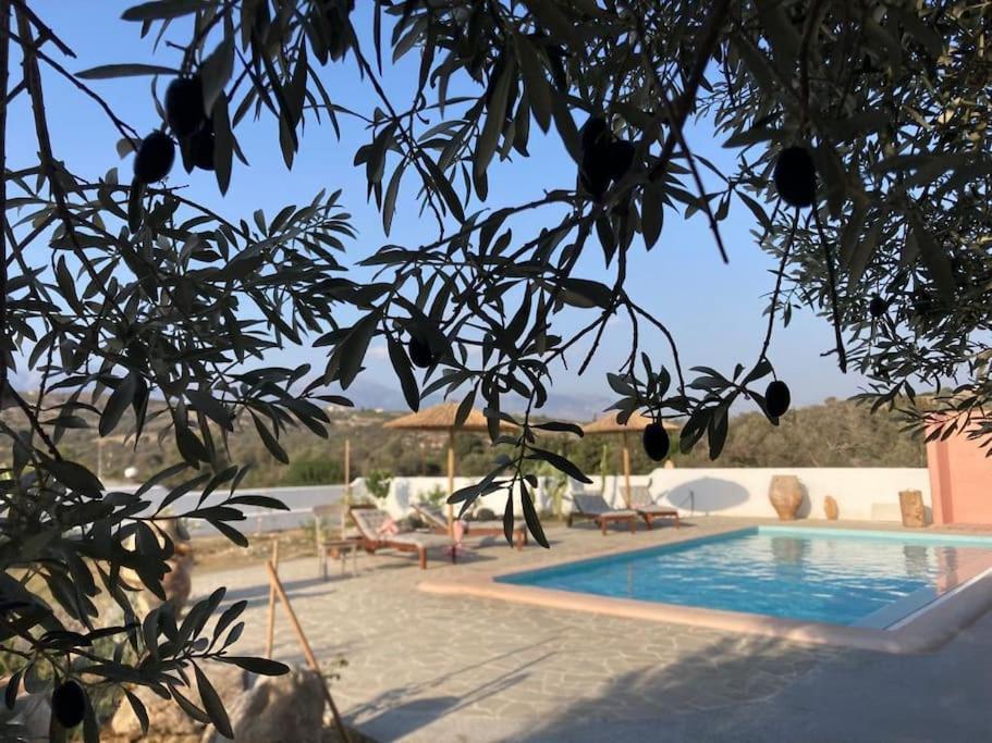 Villa Louloudia Stylish Luxury Villa With Private Pool Pitsidia Exterior foto