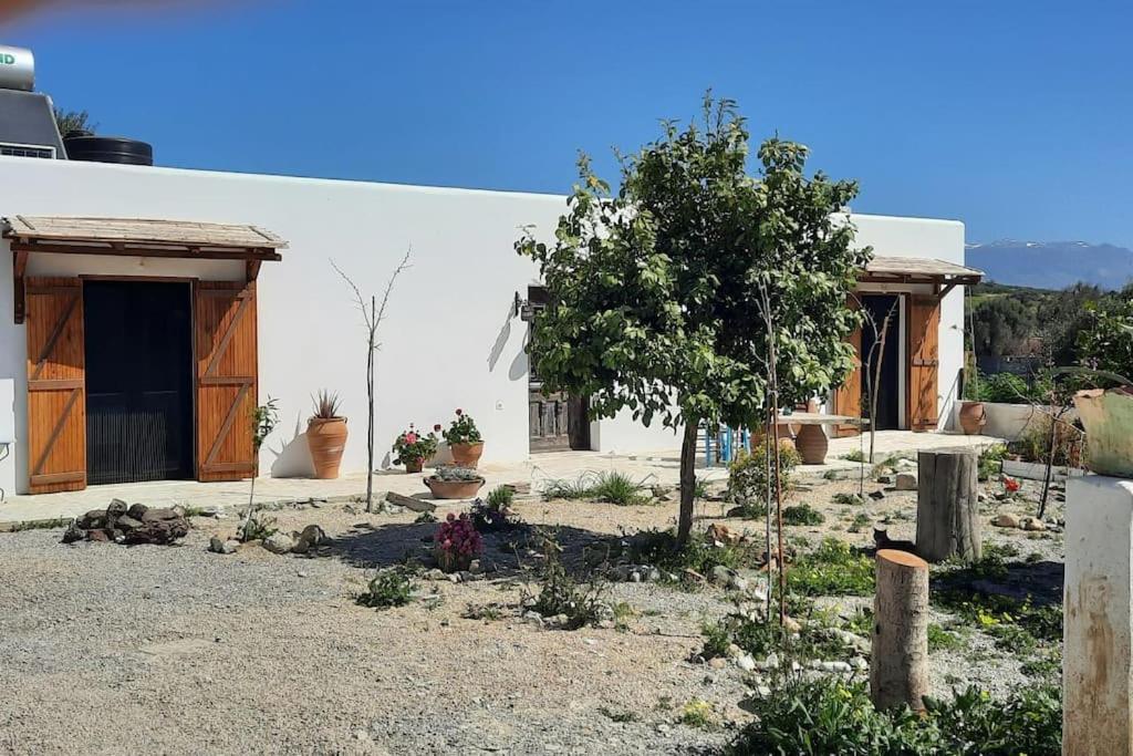 Villa Louloudia Stylish Luxury Villa With Private Pool Pitsidia Exterior foto