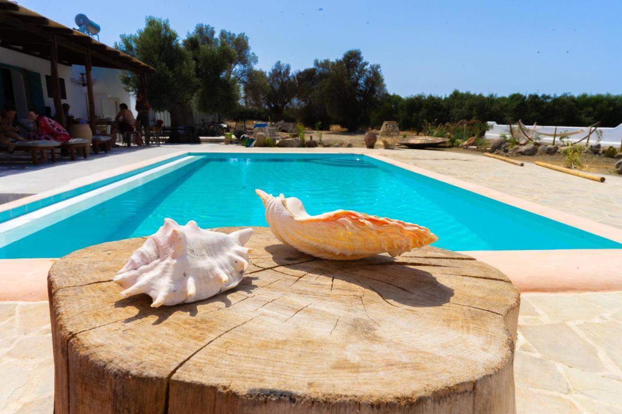 Villa Louloudia Stylish Luxury Villa With Private Pool Pitsidia Exterior foto